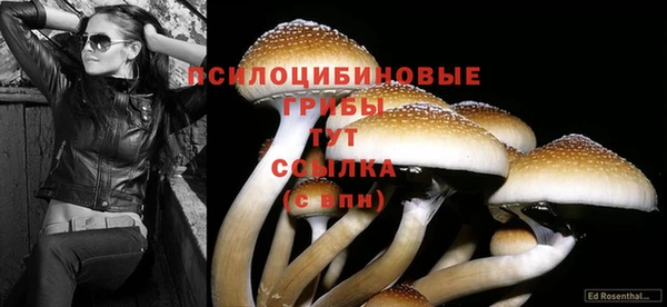 кокс Алзамай