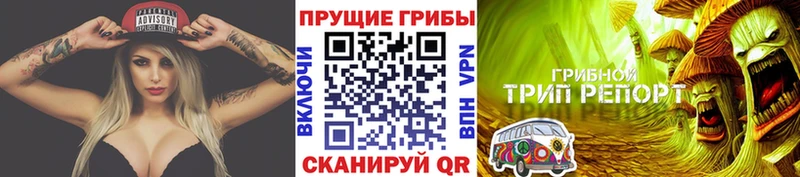 даркнет сайт  Наволоки  Галлюциногенные грибы GOLDEN TEACHER 